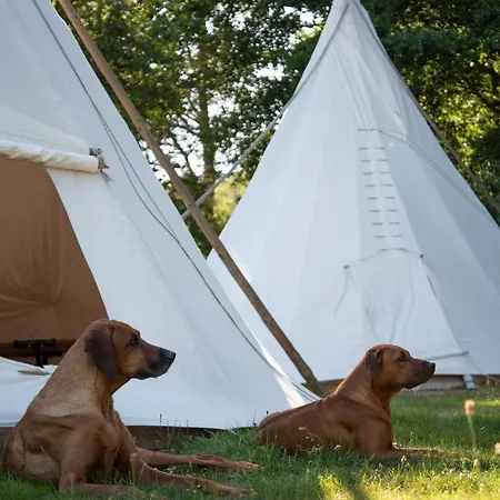 Luxury tent Eponada - Ubernachten Im Tipi *